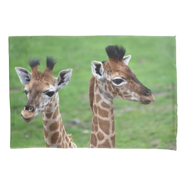 Cutest Baby Animals | Two Baby Giraffes (Frente)