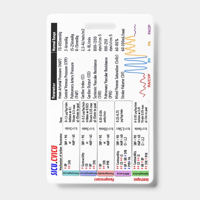 CVICU SICU Crachá Buddy (Frente)