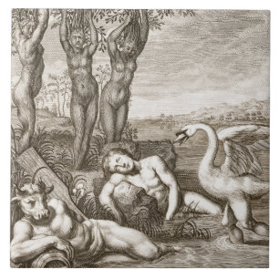 Cygnus transformado em um Siste da cisne e do