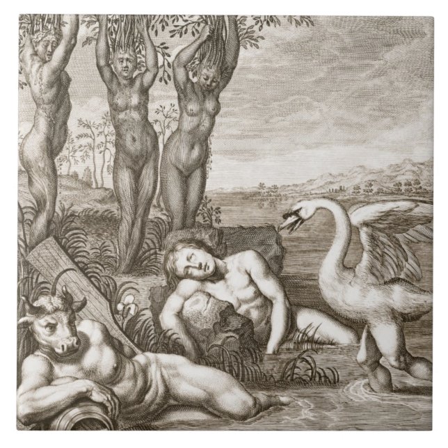 Cygnus transformado em um Siste da cisne e do (Frente)