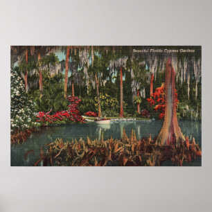 Cypress jardina poster de Florida