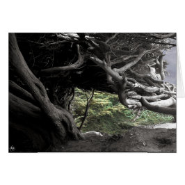 Cypress Skeleton - cartão