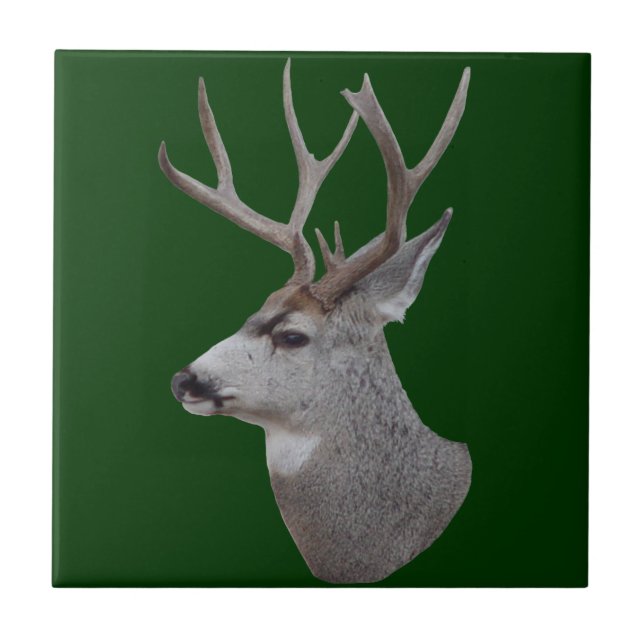D27 Mule Deer Buck Head (Frente)