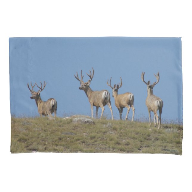 D9 Mule Deer Bucks in Velvet Sky Links (Frente)