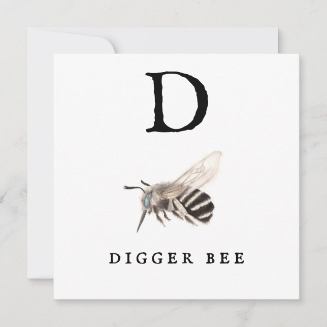 "D" Digger Bee (Frente)