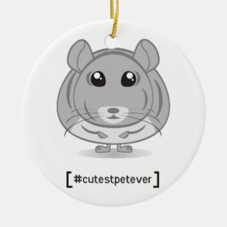 Da chinchila do animal de estimação o ornamento o