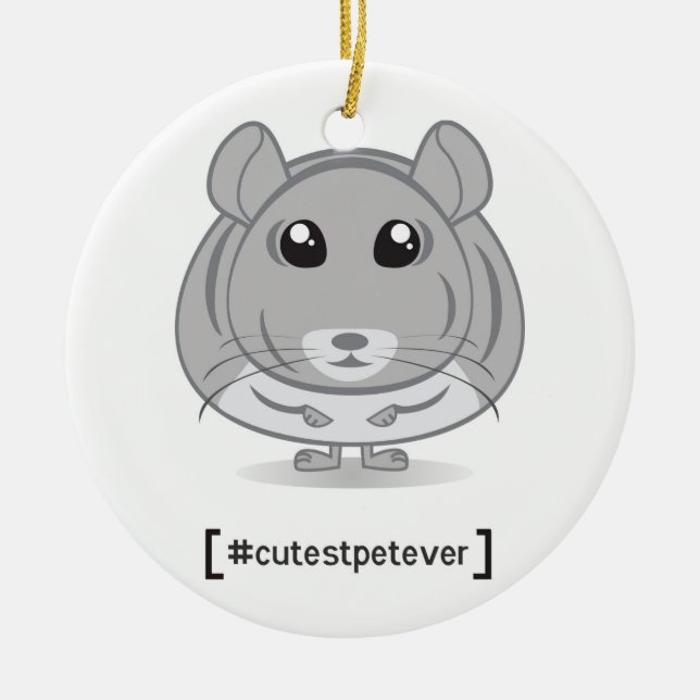 Da chinchila do animal de estimação o ornamento o (Frente)