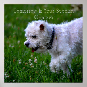 Da recuperação poster amanhã