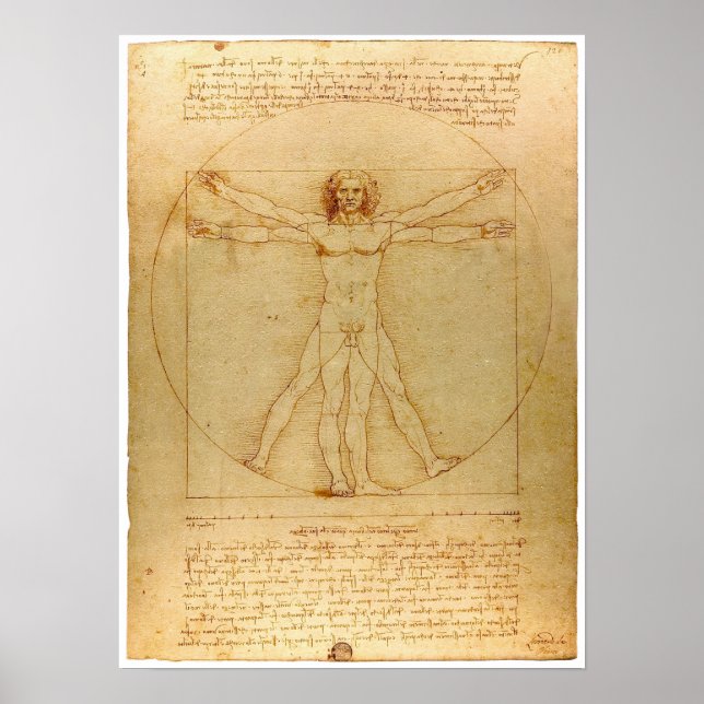 Da Vinci Vitruvian Man Poster (Frente)