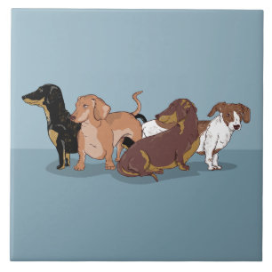 Dachshances