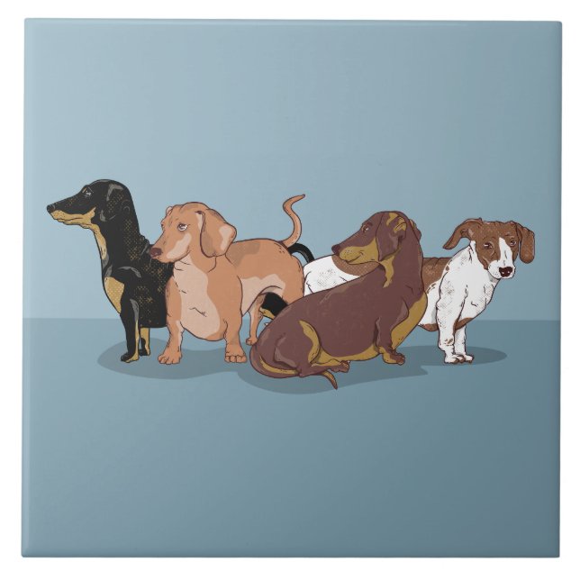Dachshances (Frente)