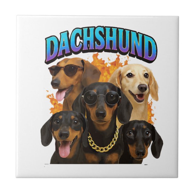 Dachshund (Frente)