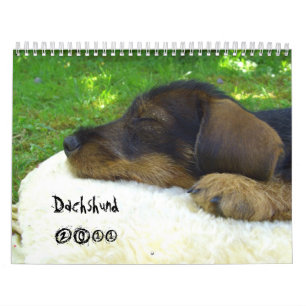 Dachshund 2011 - calendário customizável!