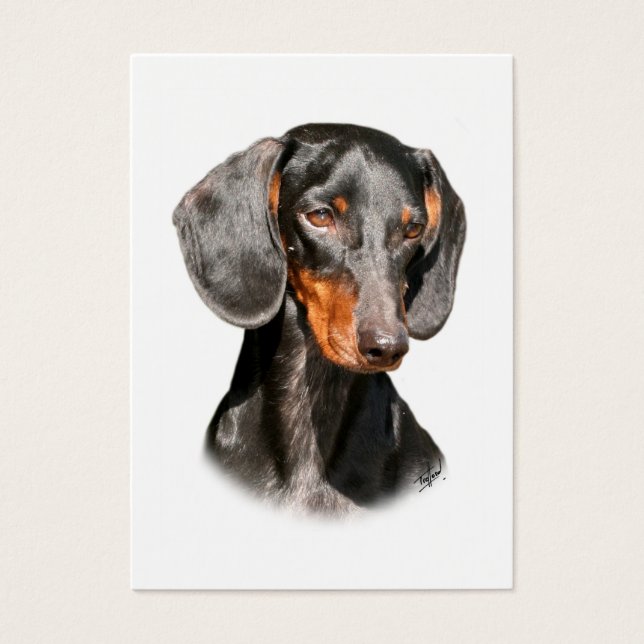 Dachshund 9Y420D-096a (Frente)