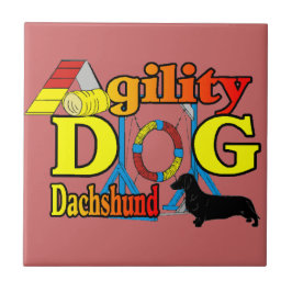Dachshund_Agilidade