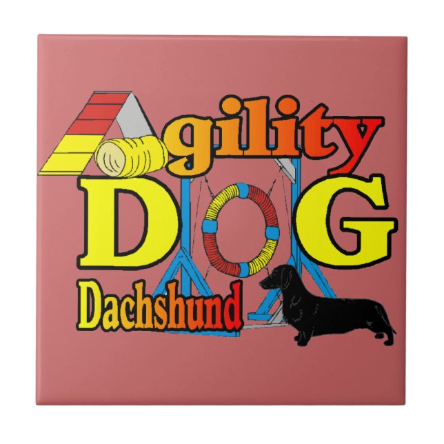 Dachshund_Agilidade (Frente)
