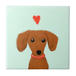 Dachshund Amor