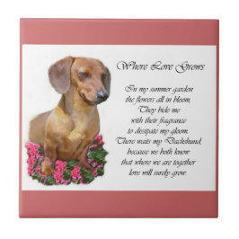 Dachshund Art Gifts