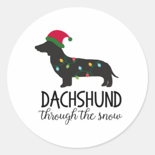 Dachshund através da etiqueta da neve, Natal