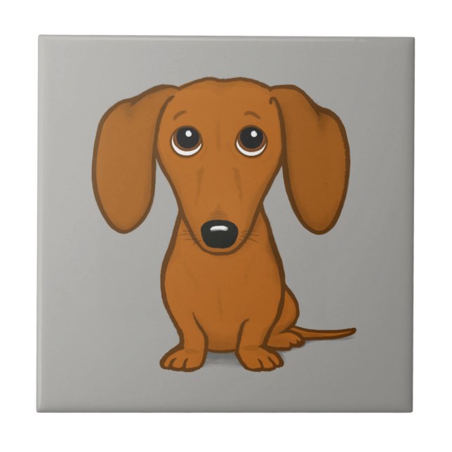 Dachshund| Cachorro-Desenho (Frente)