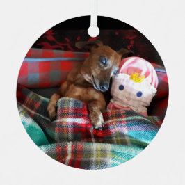 Dachshund Cerâmica Ornament