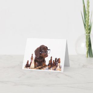 Dachshund Chess Player Qualquer Cartão De Saudação