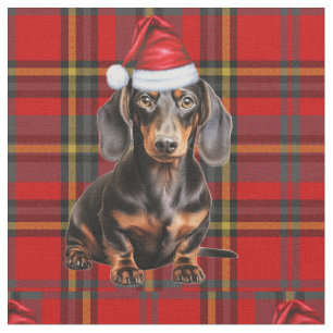 Dachshund com uma Tecido Xadrez Vermelho Verde de