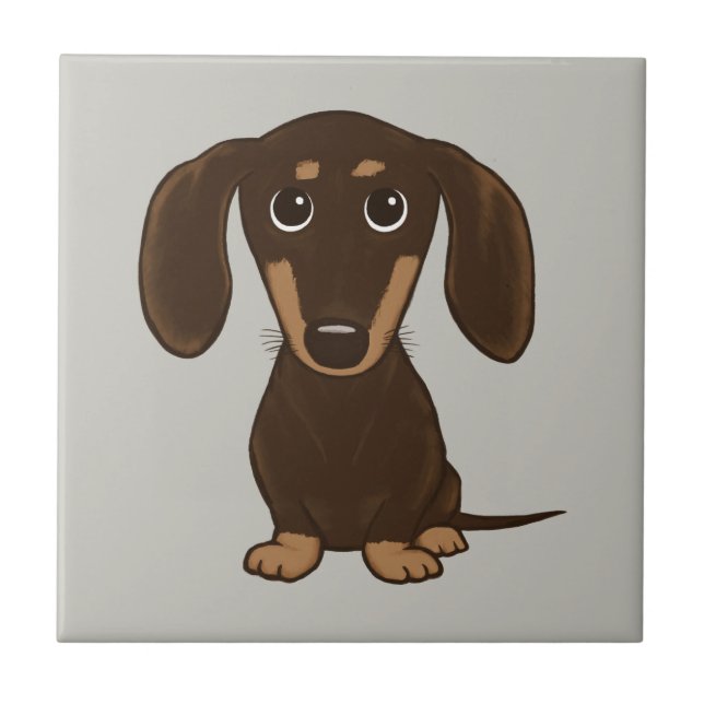 Dachshund de Chocolate Bonito| Cachorro-Desenho (Frente)