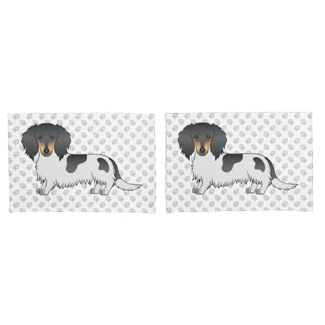 Dachshund de pelo longo preto e bronzeado Piebald  (Frente - conjunto)