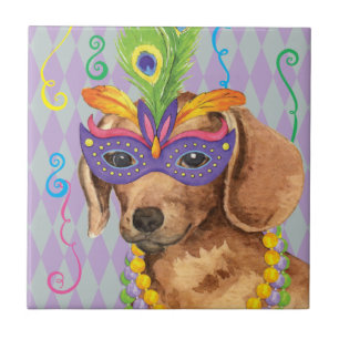 Dachshund do carnaval