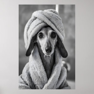 Dachshund em Impressão de Toalha, Parede de Banhei