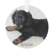 Dachshund Enfeites de natal Acrylic Adicionar Foto