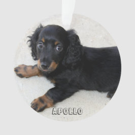 Dachshund Enfeites de natal Acrylic Adicionar Foto