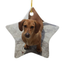 Dachshund Enfeites de natal Star Personalizado