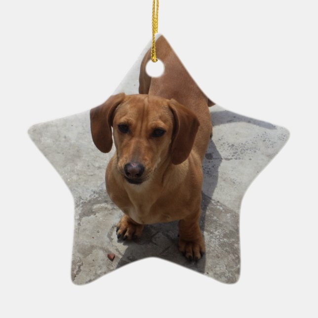 Dachshund Enfeites de natal Star Personalizado (Frente)