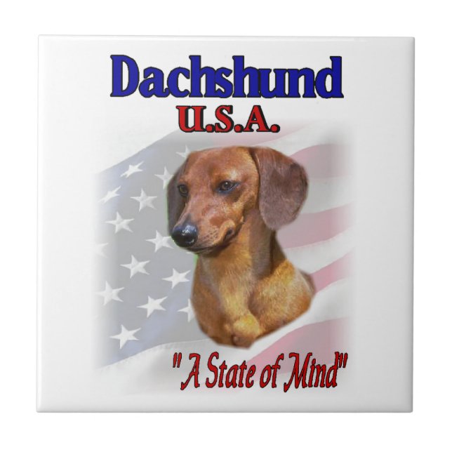 Dachshund EUA (Frente)