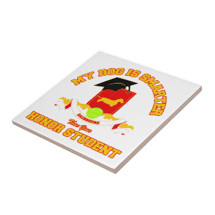 Dachshund [Fio-de cabelo]