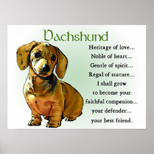 Dachshund Gifts Posters Dachshund