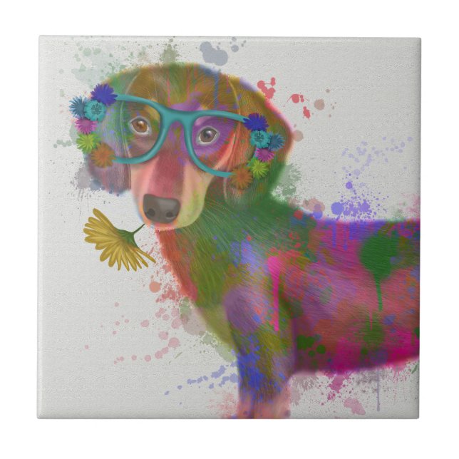 Dachshund & Glass Rainbow Splash (Frente)