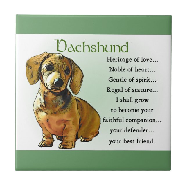 Dachshund Heritage of Love (Frente)