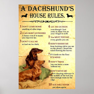 Dachshund House Regimento Poster presente para hom