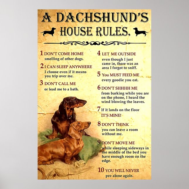 Dachshund House Regulamentação Poster para Present (Frente)
