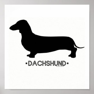 Dachshund Impressão