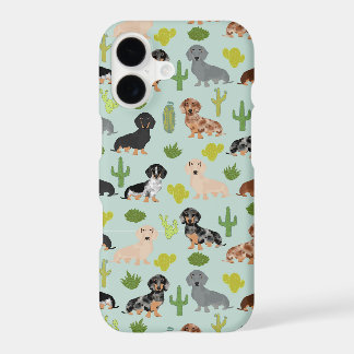 Dachshund Mint cactus
