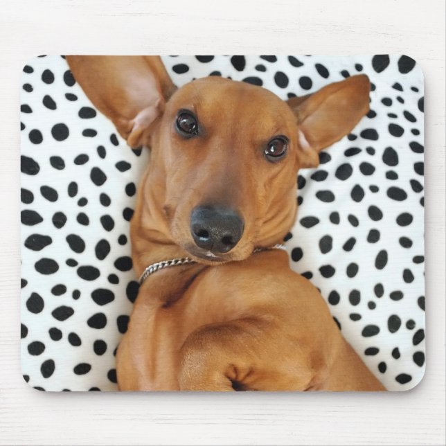 Dachshund Mousepad do divertimento (Frente)