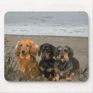 Dachshund na praia Mousepad