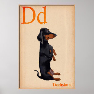 Dachshund Poster