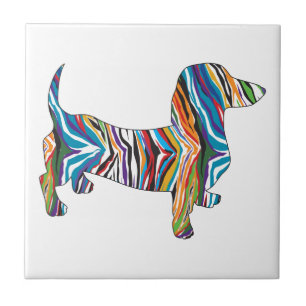 Dachshund - Psicodélico Zbra Doxie