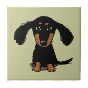 Dachshund Puppy