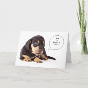 Dachshund Puppy Consiga Bem Cartão